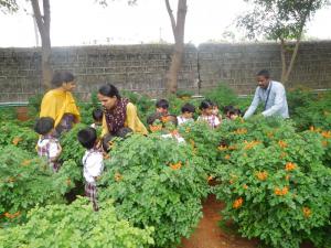 Children enjoyed the Beauty of Nature - Nature Walk