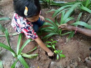 Each One Plant One (Parents Activity - Environment)